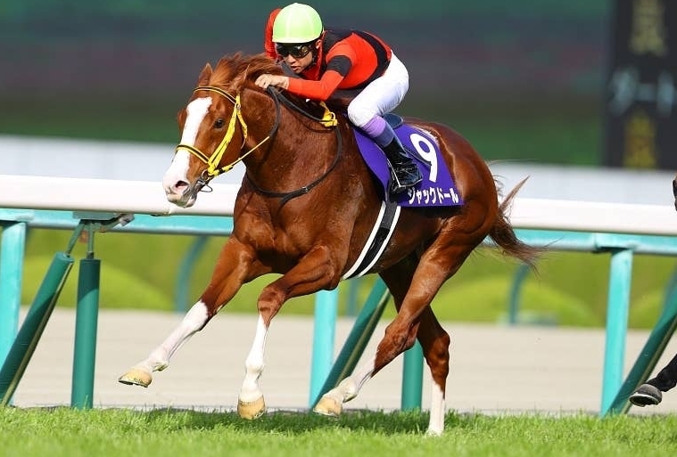 札幌記念2023データ分析！大穴馬はこの馬だ！ | 浅次郎のどんぶり競馬2